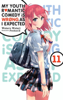 My Youth Romantic Comedy Is Wrong, As I Expected, Vol. 11 (light novel): Volume 11