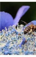 Bee in the Hydrangea Flowers Journal