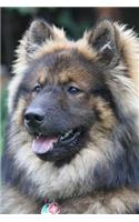 The Eurasian Dog Notebook