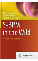 S-BPM in the Wild