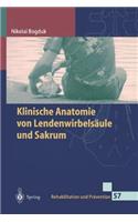 Klinische Anatomie Von Lendenwirbelsäule Und Sakrum