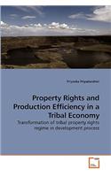 Property Rights and Production Efficiency in a Tribal Economy