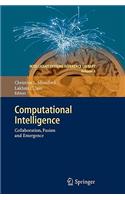 Computational Intelligence: Collaboration, Fusion and Emergence