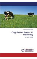 Cogulation Factor XI Deficency