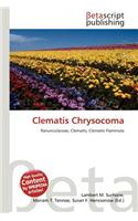 Clematis Chrysocoma: (English)