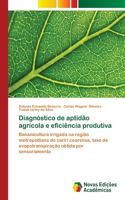 Diagnóstico de aptidão agrícola e eficiência produtiva