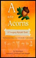 A Is For Acorns