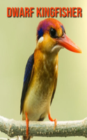 Dwarf Kingfisher