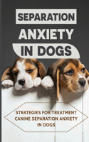 Separation Anxiety In Dogs