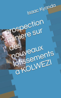 prospection minière sur les nouveaux lotissements à Kolwezi