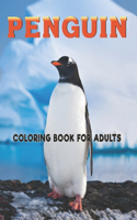 Penguin Coloring Book For Adults