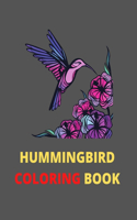 Hummingbird Coloring Book