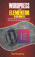 WordPress And Elementor In 30 Minutes: A No-Fluff Guide to Building Professional Websites with Wordpress and Elementor