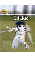 Cricket