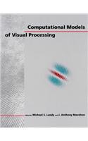 Computational Models of Visual Processing