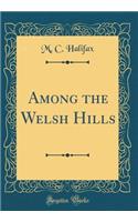 Among the Welsh Hills (Classic Reprint)