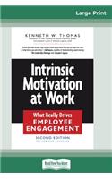 Intrinsic Motivation at Work (16pt Large Print Edition)