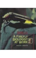A Firefly Biologist at Work