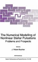 Numerical Modelling of Nonlinear Stellar Pulsations: Problems and Prospects