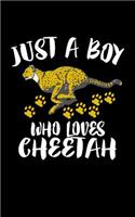 Just A Boy Who Loves Cheetah: Animal Nature Collection