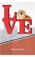 Pekingese