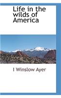 Life in the Wilds of America