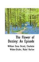 The Flower of Destiny: An Episode