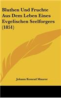 Bluthen Und Fruchte Aus Dem Leben Eines Evgelischen Seelforgers (1851)