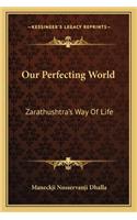 Our Perfecting World