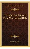 Huckleberries Gathered from New England Hills