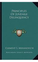 Principles Of Juvenile Delinquency