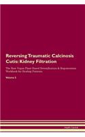Reversing Traumatic Calcinosis Cutis: Kidney Filtration The Raw Vegan Plant-Based Detoxification & Regeneration Workbook for Healing Patients. Volume 5