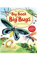 Big Book of Big Bugs