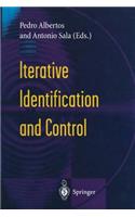 Iterative Identification and Control: Advances in Theory and Applications(English)