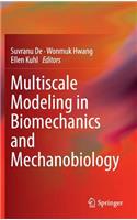 Multiscale Modeling in Biomechanics and Mechanobiology