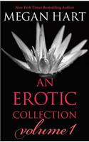 Megan Hart: An Erotic Collection Volume 1: This Is What I Want\Indecent Experiment\Everything Changes\Layover