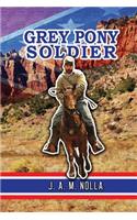 Grey Pony Soldier