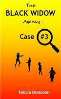 Black Widow Agency - Case #3