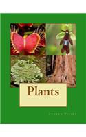 Plants