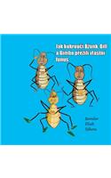 Jak Kokrouci Bzunk, Bill a Bimbo Prezili Vlastni Funus