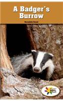 Badger's Burrow: (Rosen Real Readers: Stem and Steam Collection)