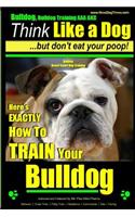 Bulldog, Bulldog Training AAA AKC