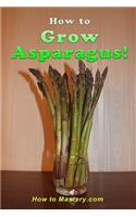 How to Grow Asparagus