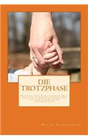 Die Trotzphase: Verstehe dein Kind in dieser Zeit, begleite es wertschätzend und lass den Sturm an dir vorüberziehen