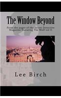 Window Beyond