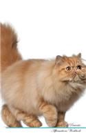 Persian Cat Affirmations Workbook Persian Cat Presents: Positive and Loving Affirmations Workbook. Includes: Mentoring Questions, Guidance, Supporting You.