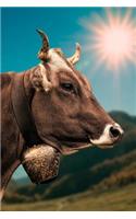 Cow with a Bell in the Sun Journal