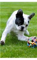 Darling French Bulldog Playing in the Park Dog Pet Journal