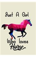 Just a Girl who loves Horse