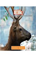 Elk: Fun Facts and Amazing Photos of Animals in Nature